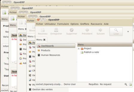 Multifenetrage du client OpenERP Multifenetrage du client OpenERP